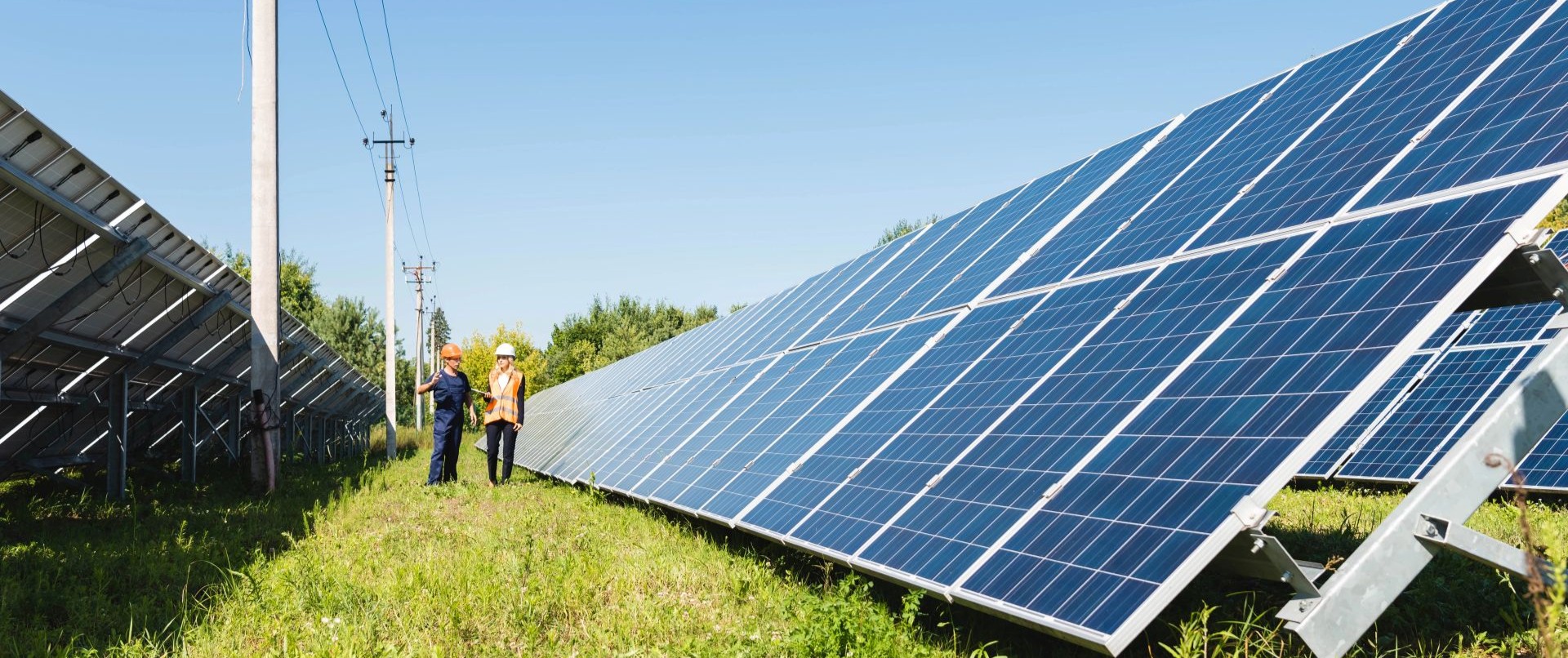 Renewable Generators | Maximise Revenue & Navigate Market Complexity